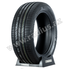 Ecsta PS71 255/50 R19